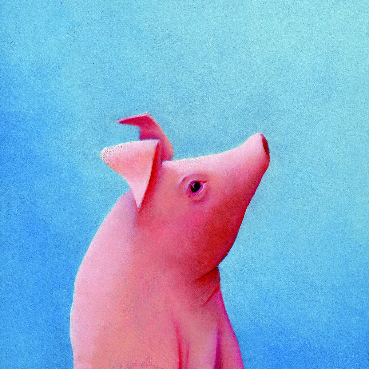 happy spaces 儿童墙壁艺术小猪 margot curran 油画印刷品(40 x 40 x