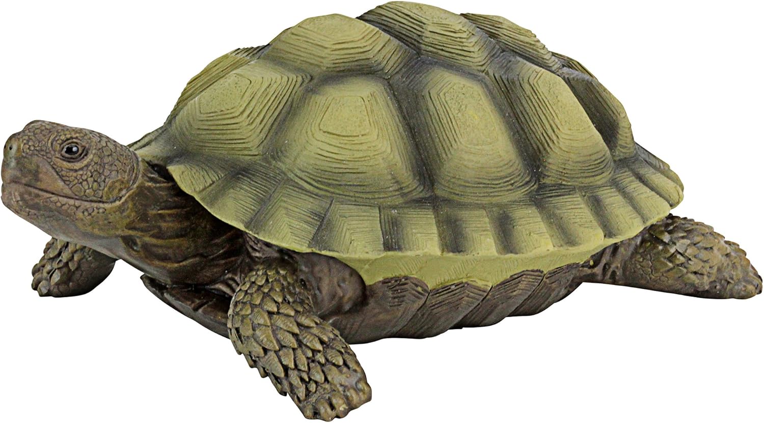 design toscano gilbert the box 海龟花园装饰动物雕像,9 英寸,合成