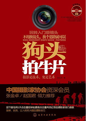 狗头拍牛片(蜂鸟网人气之王潜心近二十年之力作,摄影用光色彩构图技巧单反相机摄影教程从入门到精通摄影书)
