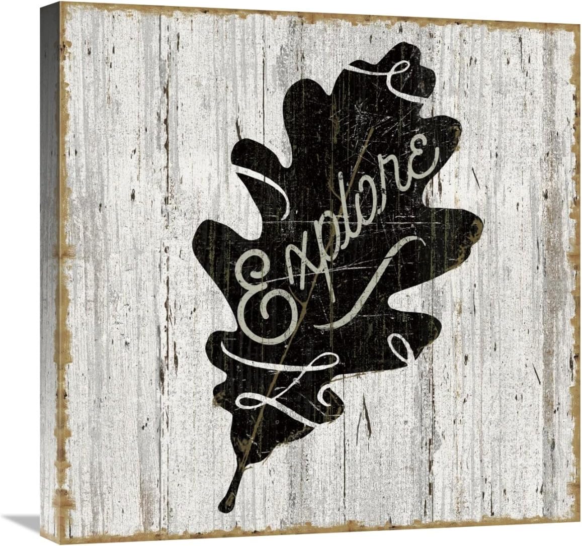 global gallery sue schlabach 艺术微喷拉伸帆布艺术品,60.