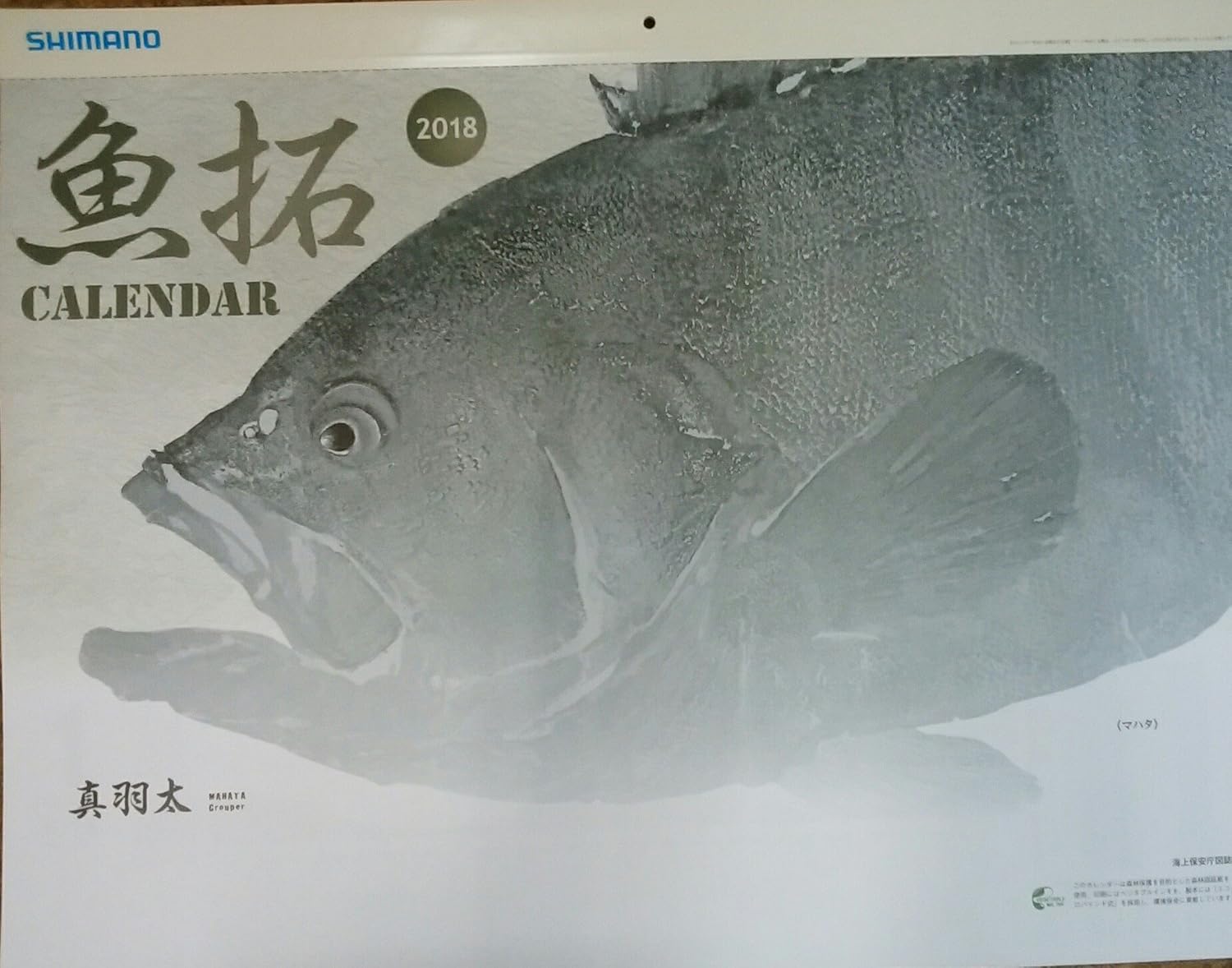 最速石斑鱼汤电锅