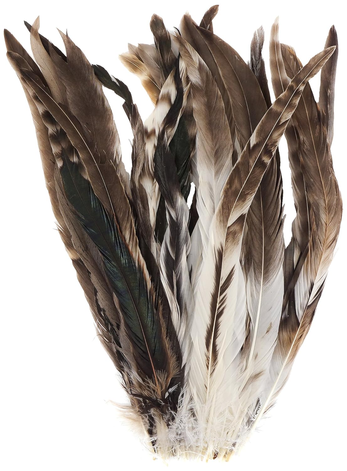 zucker feather products carnival mask