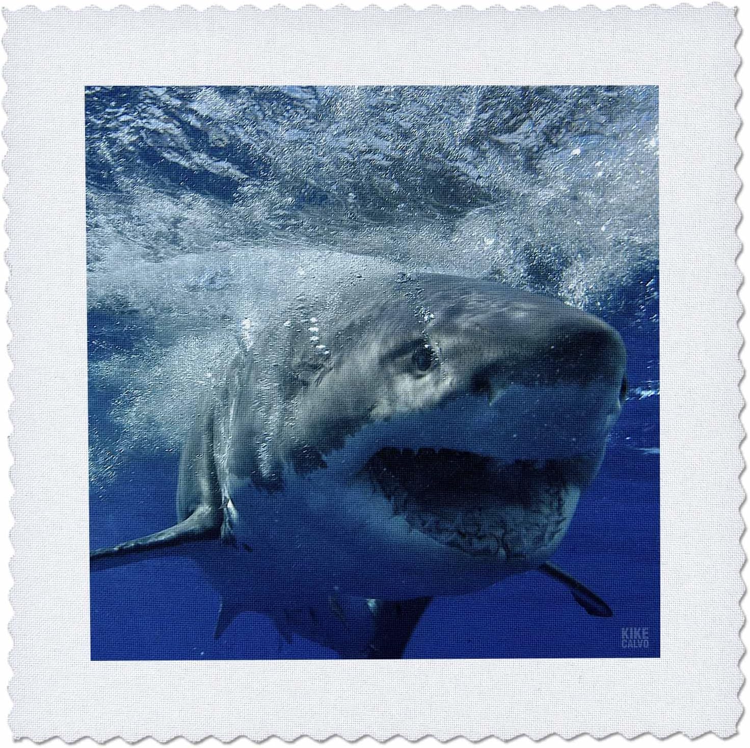 qs 10587 kike calvo 鲨鱼 – great 白色鲨鱼 – 方块拼布