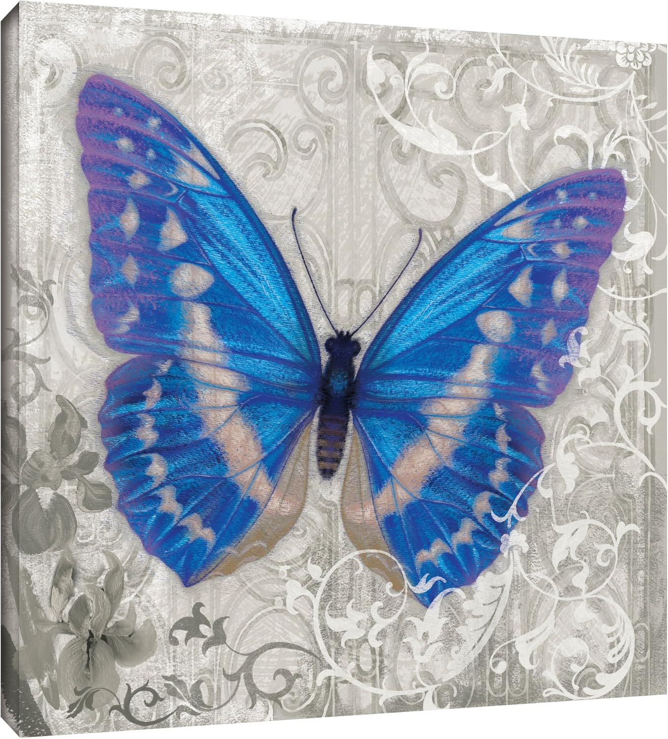 tremont hill alan hopfensperger"蓝色蝴蝶 i 2"画廊装裱地板框油画