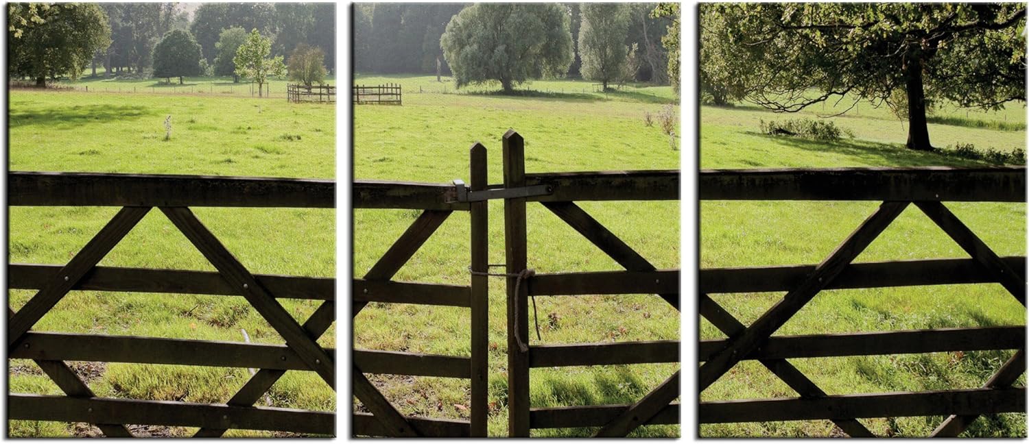 jp london scnvt5177 3 镶板艺术 2 英寸厚阳光乡村农场牧场门全景