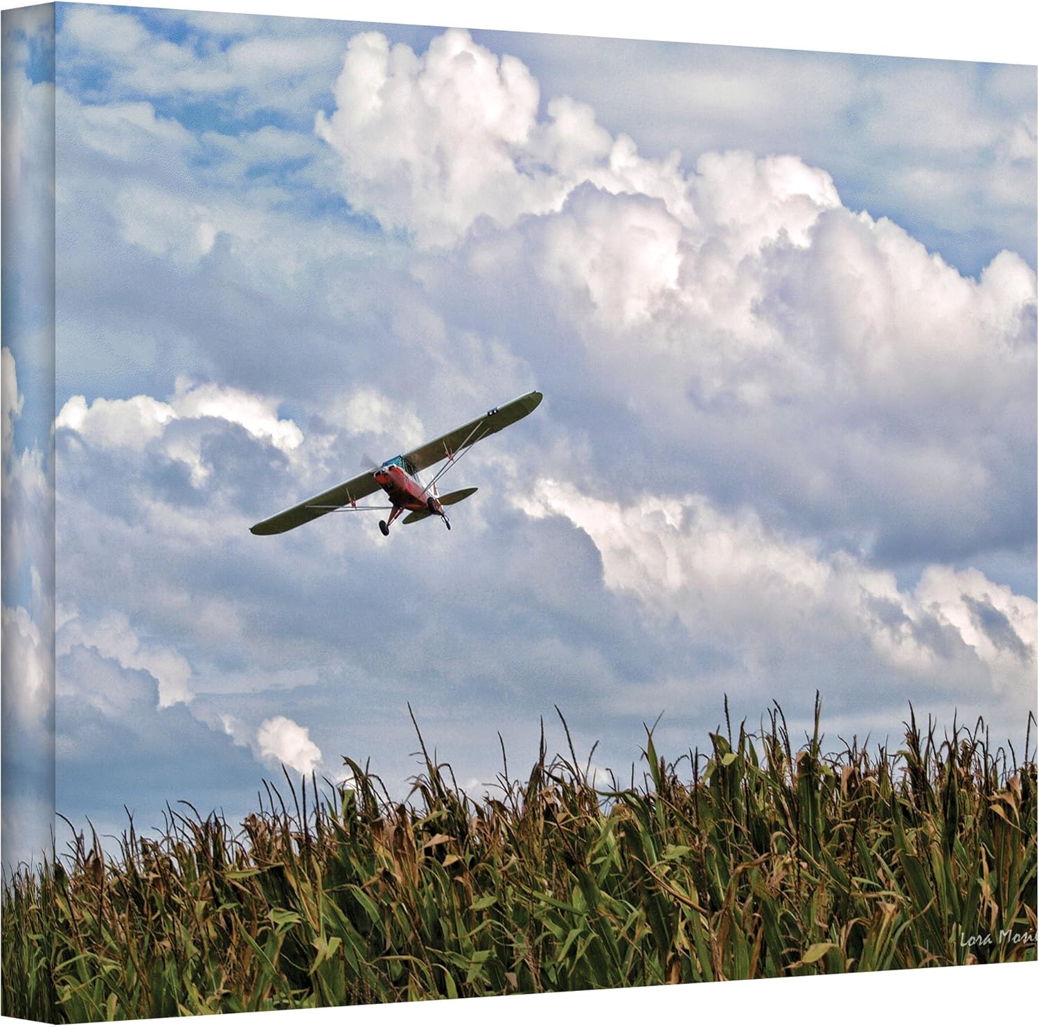 artwall a corner of the sky 画廊装裱油画艺术作者 lora mosier