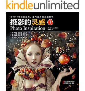 摄影的灵感1(汇集100幅绝妙摄影佳作,涵盖风光、人像、微距、静物、纪实等13个门类。100位摄影达人详细解析创意、拍摄场景、所用器材、相机设置、构图、用光、后期处理方法,无私分享从创意到实战所有创作细节! )