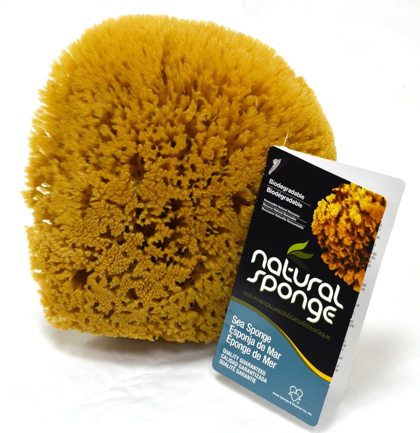 the natural sea sponge, 6 to 7-inch, yellow