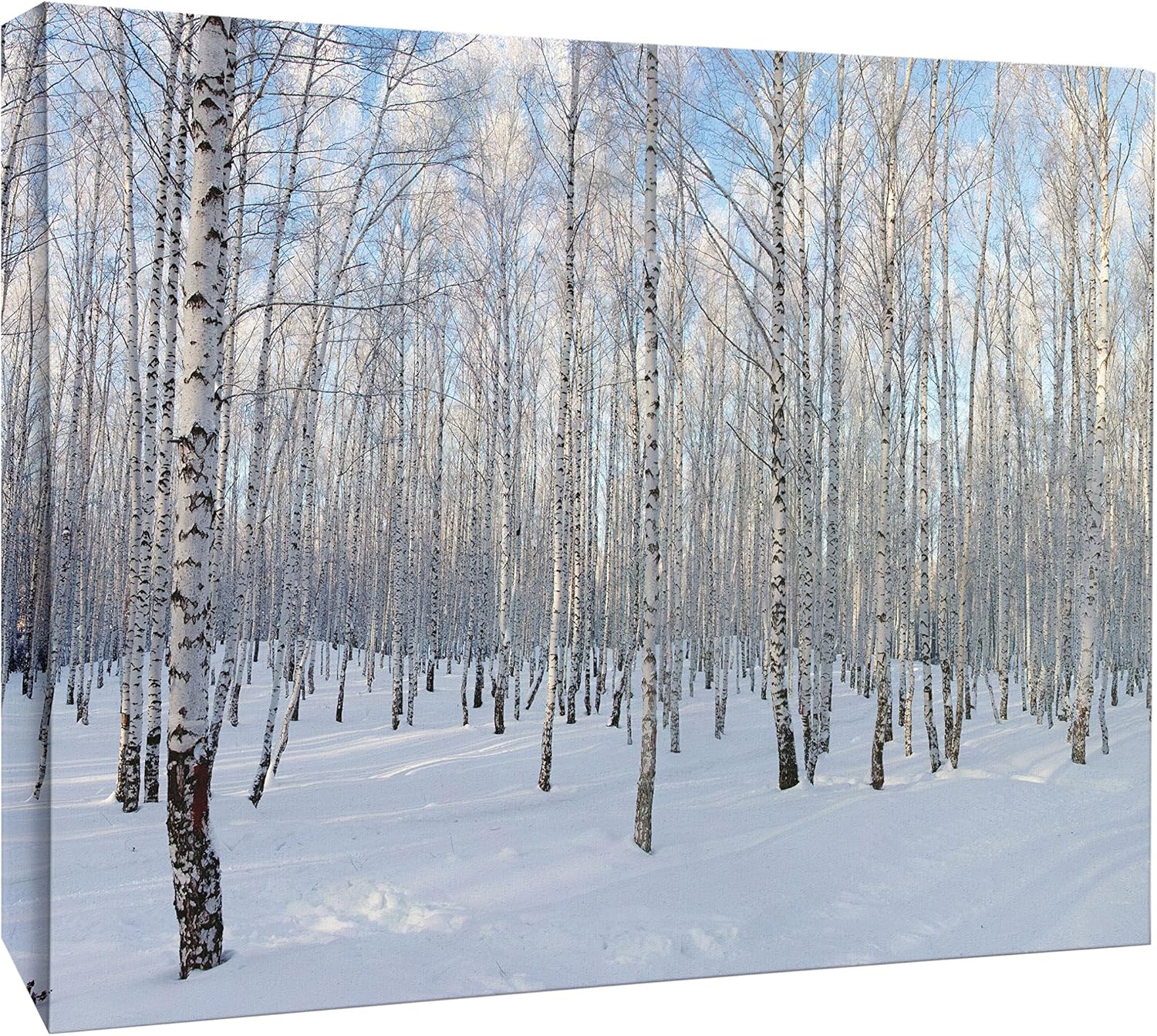jp london mcnv2051 北极冬季雪森林树 5.08 厘米厚重画廊包装画布,7.